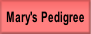 Mary's Pedigree.